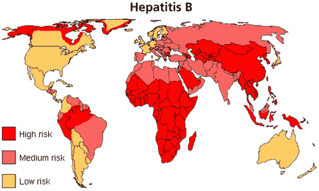 hepatita B